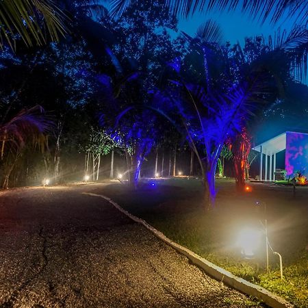 Little Ele Safari Lodge ウダワラウェ エクステリア 写真