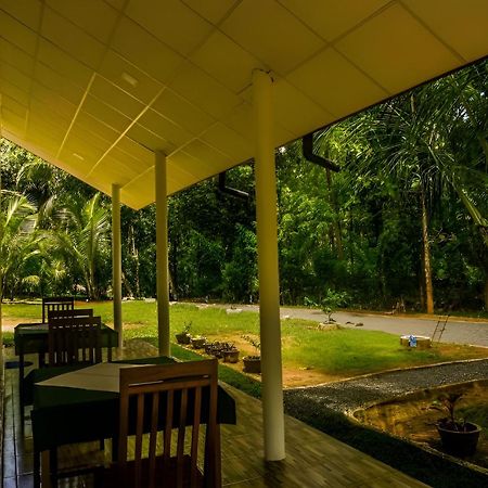 Little Ele Safari Lodge ウダワラウェ エクステリア 写真