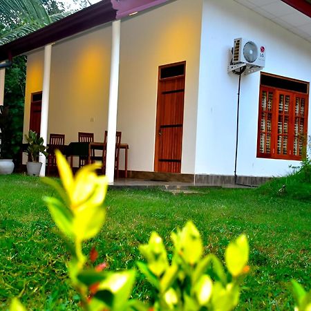 Little Ele Safari Lodge ウダワラウェ エクステリア 写真
