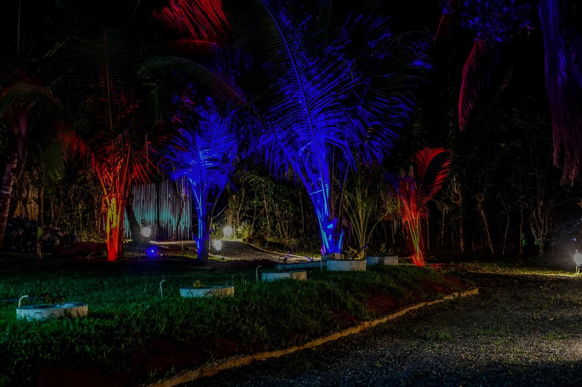 Little Ele Safari Lodge ウダワラウェ エクステリア 写真