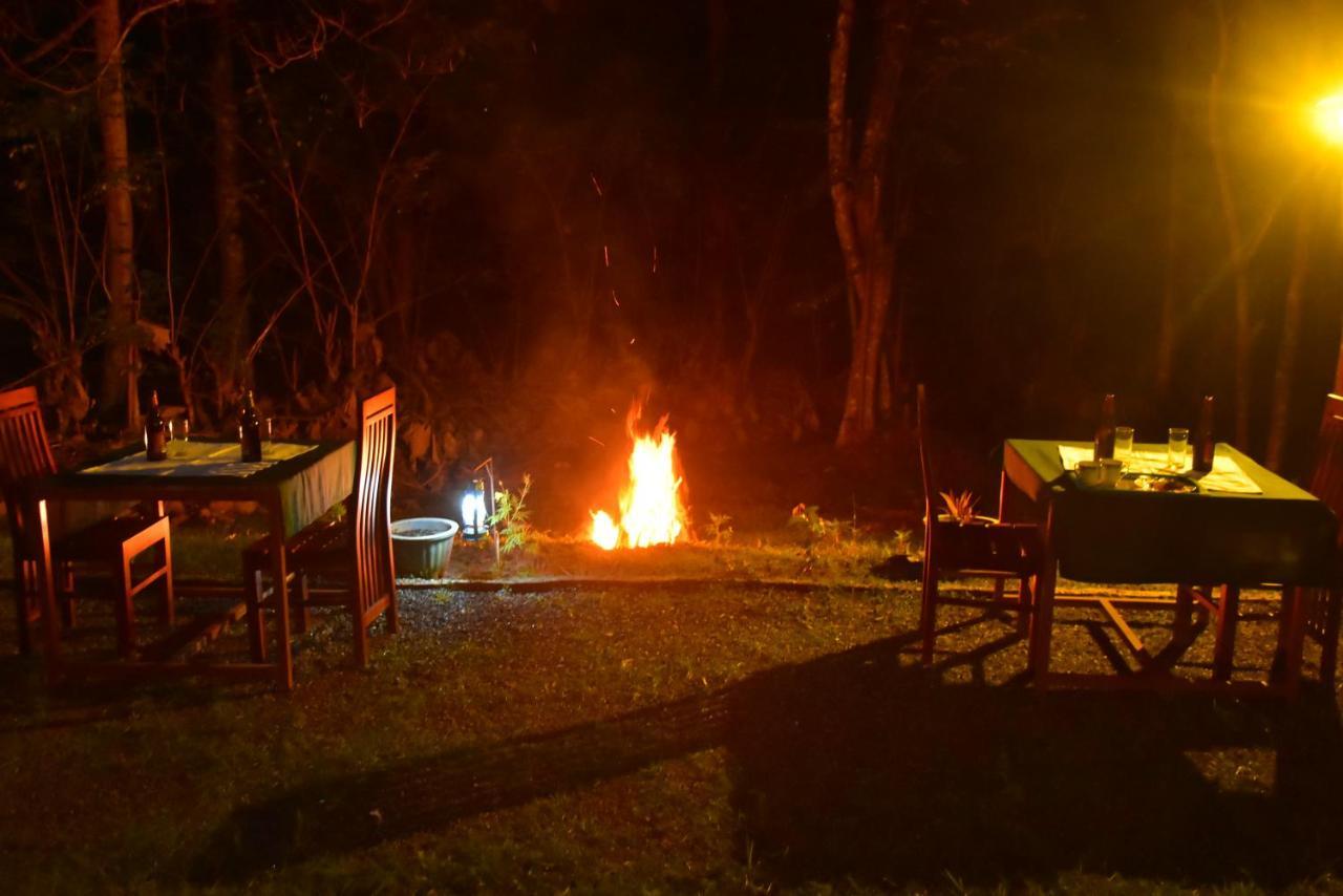 Little Ele Safari Lodge ウダワラウェ エクステリア 写真
