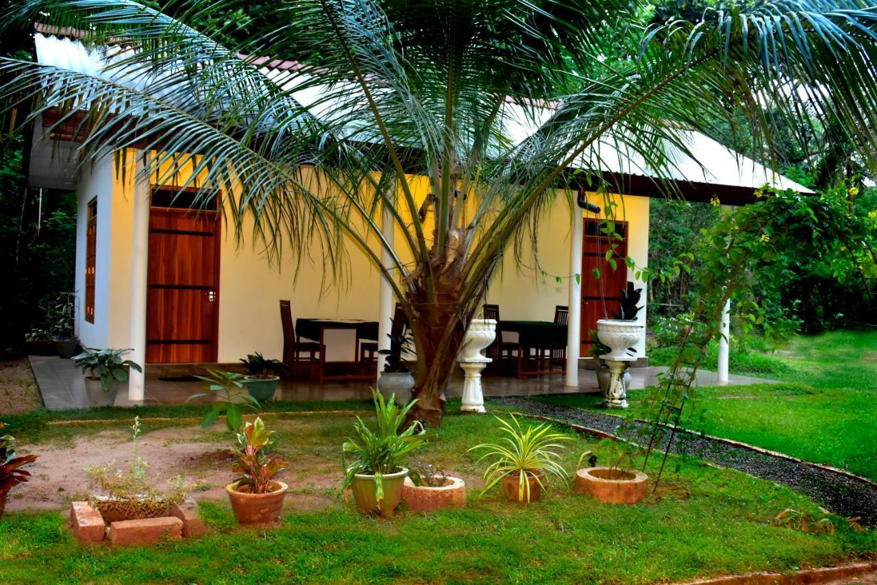Little Ele Safari Lodge ウダワラウェ エクステリア 写真
