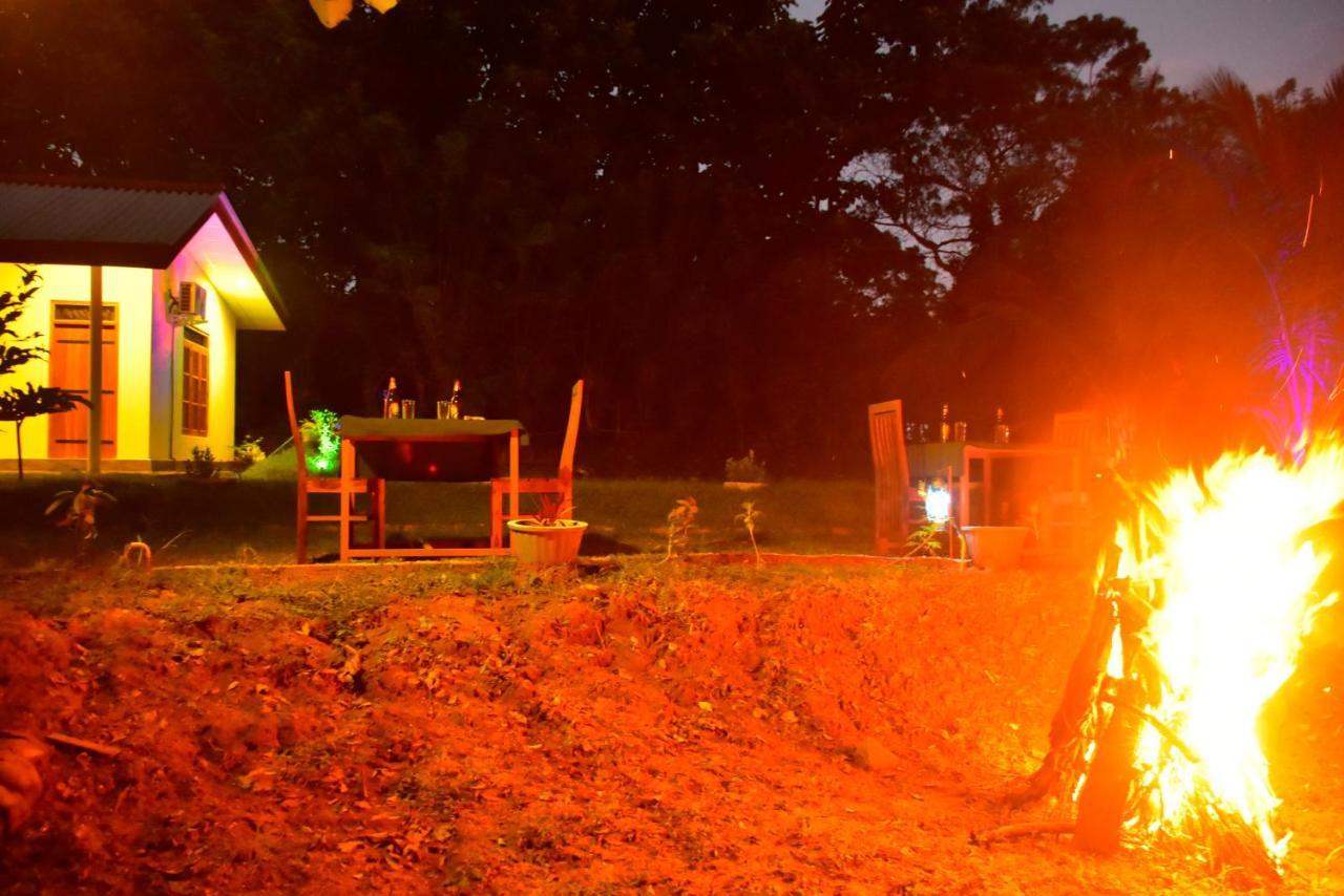Little Ele Safari Lodge ウダワラウェ エクステリア 写真
